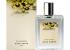 Perfume eau de cologne Calycanthus  de Acca Kappa