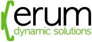 Erum Dynamics Solutions